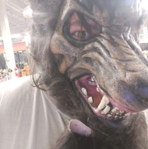 Meet your Posher, Rory